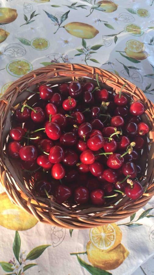 Pugliaholidayplus - Villa Cassano 폴리나노 아마레 외부 사진
